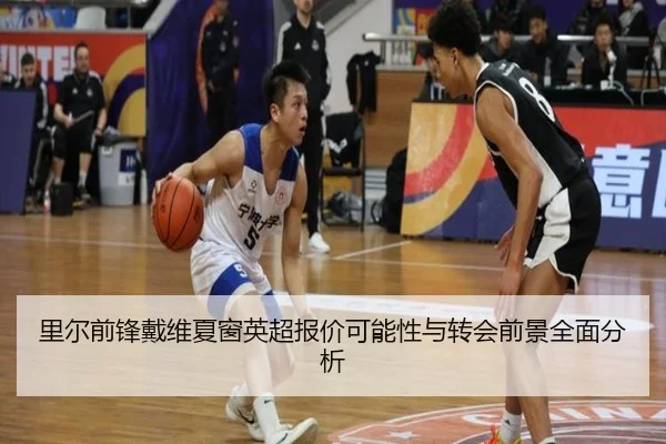 里尔前锋戴维夏窗英超报价可能性与转会前景全面分析