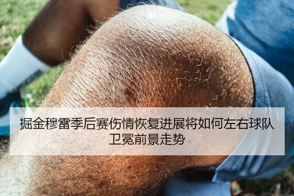 掘金穆雷季后赛伤情恢复进展将如何左右球队卫冕前景走势